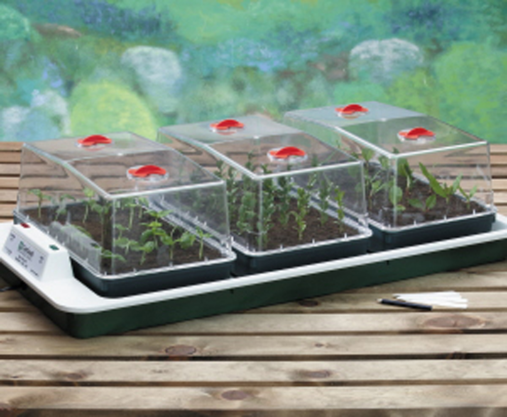 Big 3 Automatic Temperature Control Electric Propagator Plant Propagation